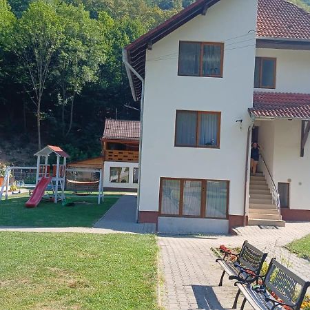 Pensiunea Casa David Şugag Exterior foto
