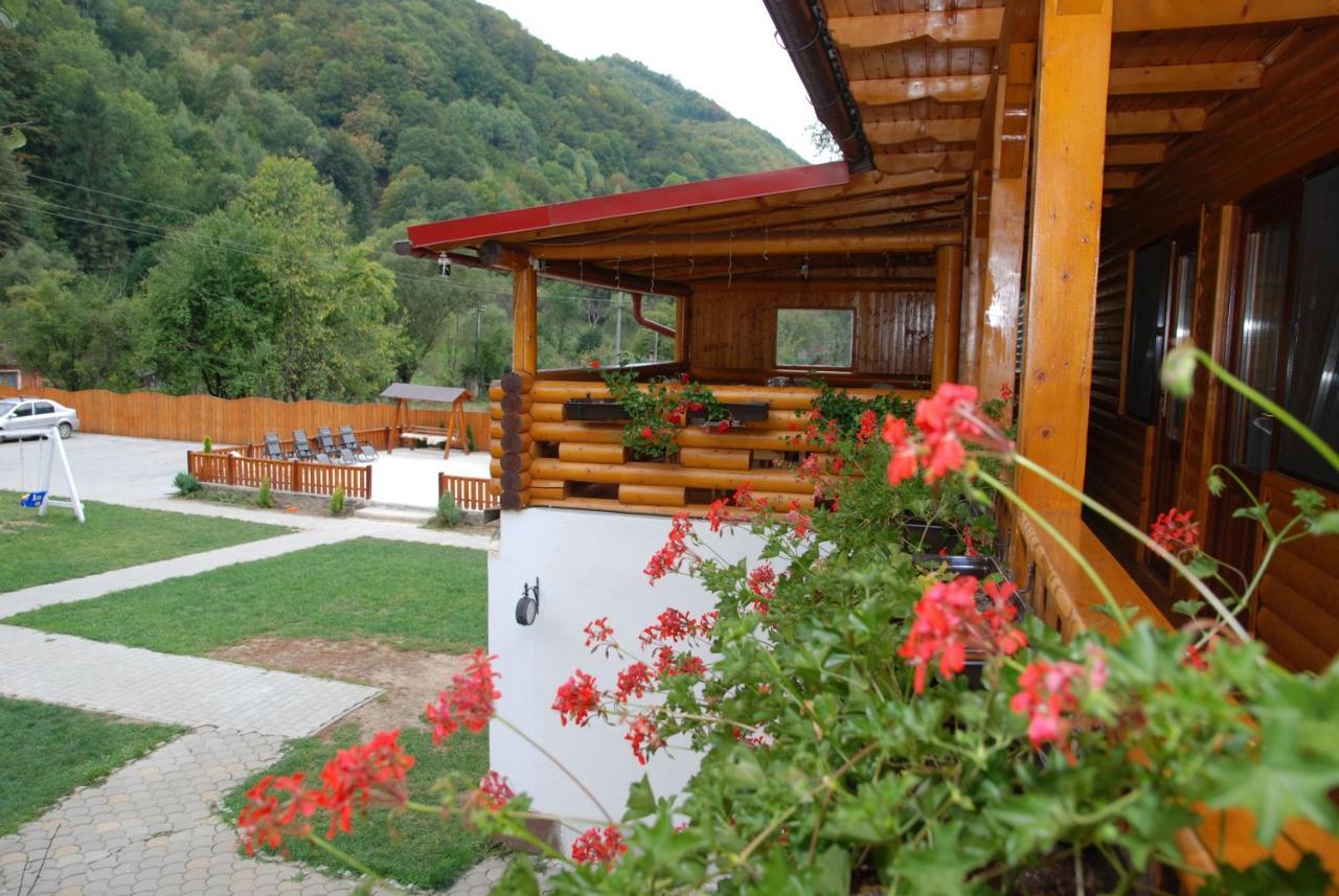 Pensiunea Casa David Şugag Exterior foto