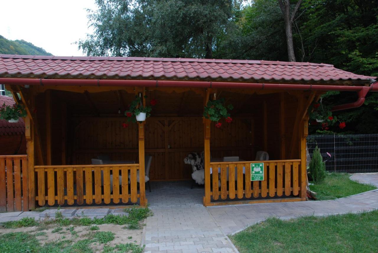 Pensiunea Casa David Şugag Exterior foto