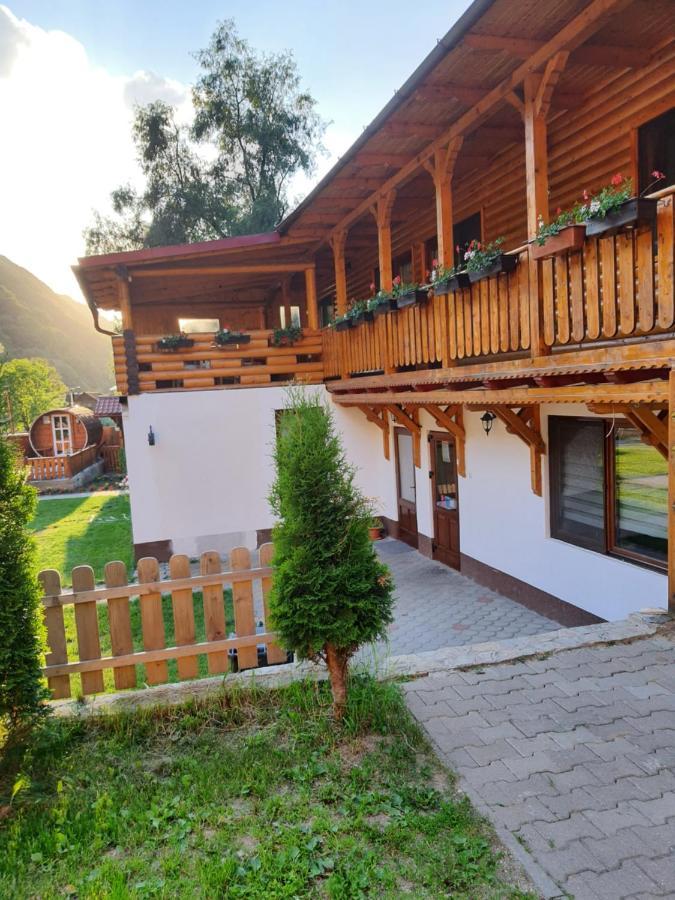 Pensiunea Casa David Şugag Exterior foto