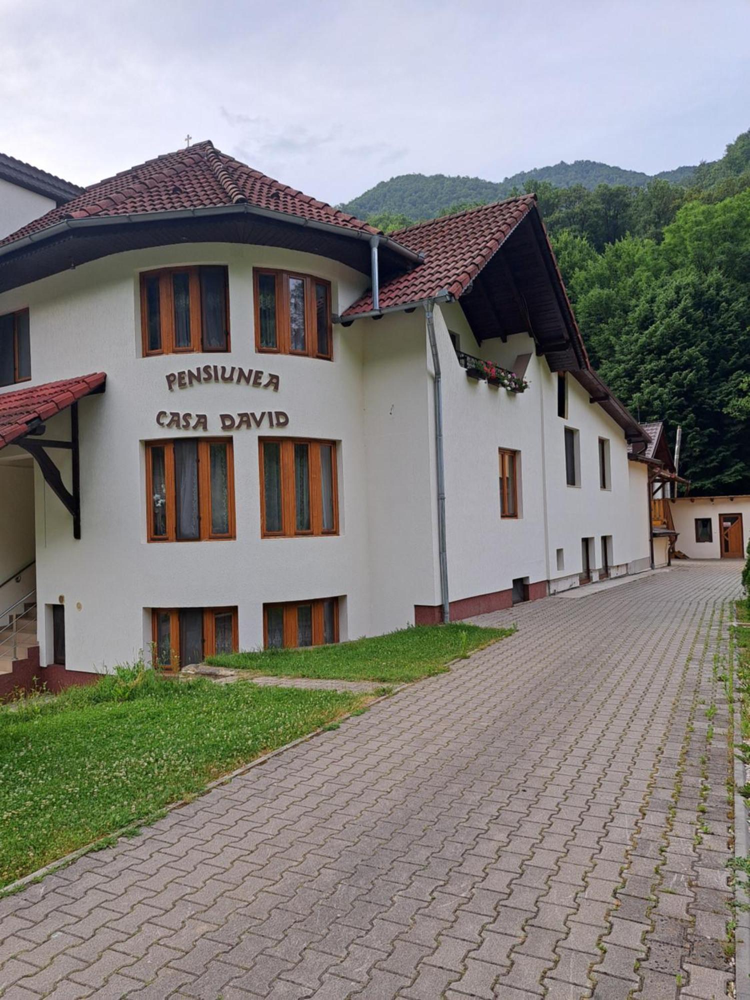 Pensiunea Casa David Şugag Exterior foto