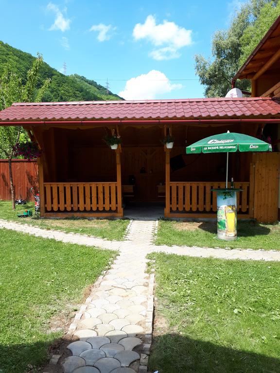 Pensiunea Casa David Şugag Exterior foto